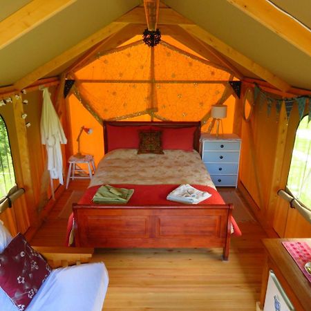 Omarama Oasis - Permaculture Glamping Hotel Pohara Exterior foto