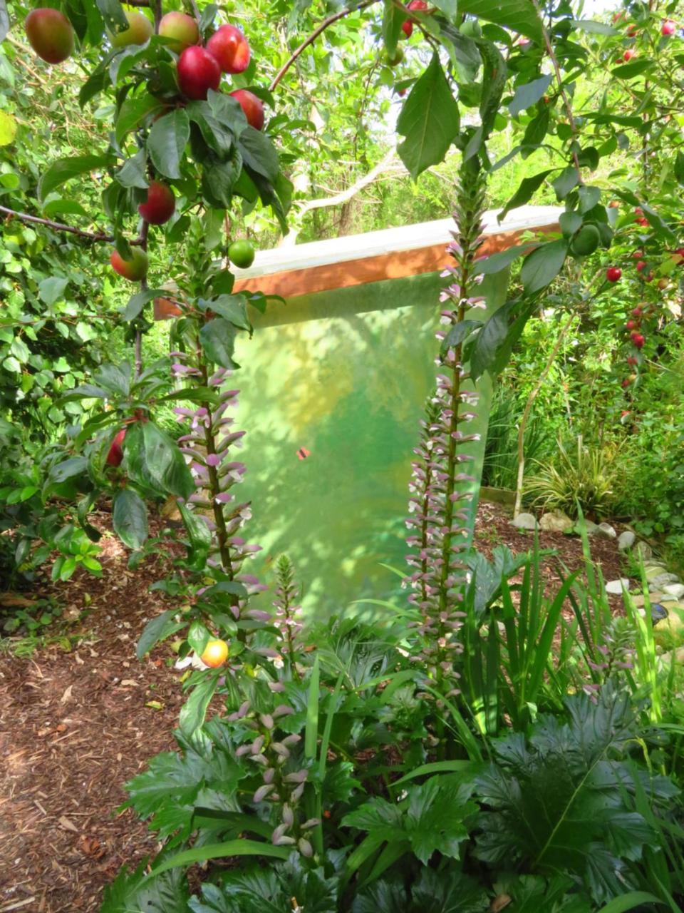 Omarama Oasis - Permaculture Glamping Hotel Pohara Exterior foto